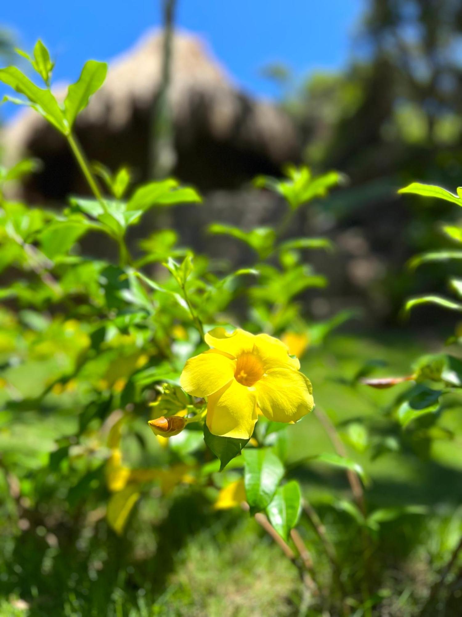 Zirwa Hotel Boutique - Dentro Del Parque Tayrona Zaino Kültér fotó